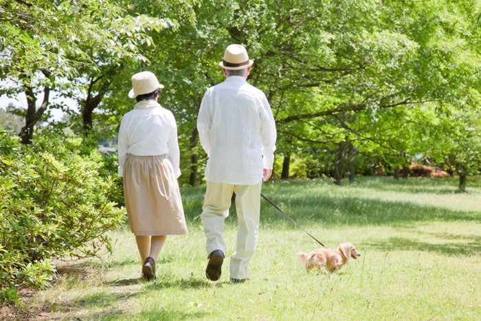 犬を散歩する老夫婦