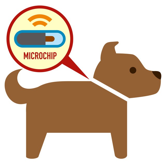 マイクロチップを入れた犬のイラスト