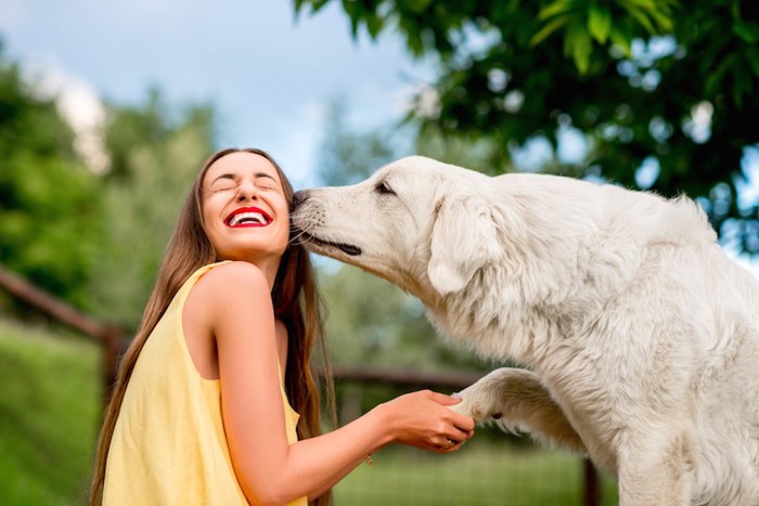 女性の横顔にキスをする白い大型犬