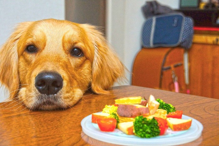 皿に乗った野菜と犬