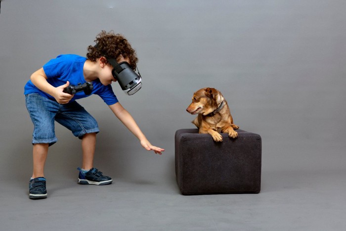 VRモニターをつけた男の子と茶色い犬