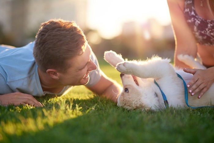 芝生で仰向けになっている犬と飼い主の男女
