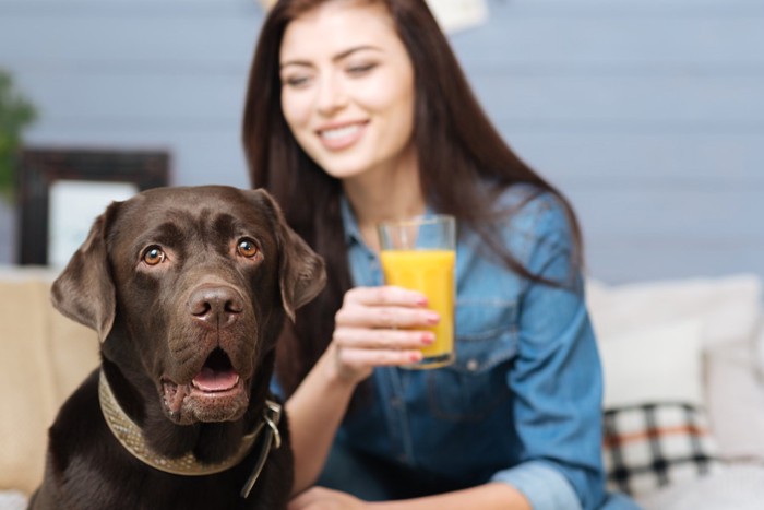 ジュースを持った女性と犬