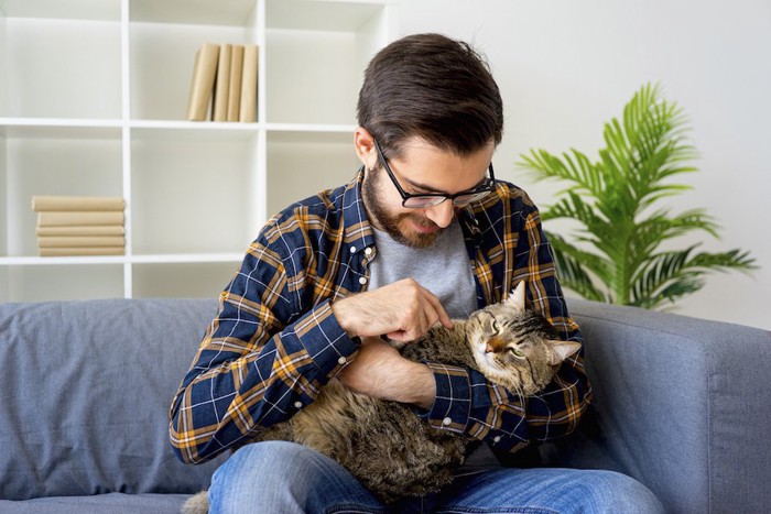 ソファーに座って猫を抱く男性