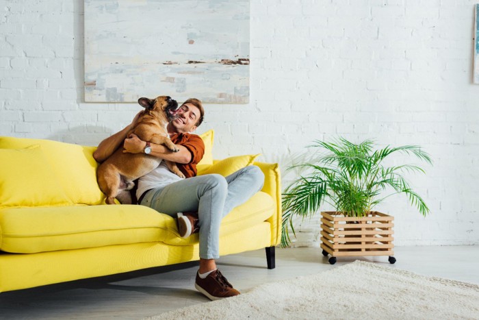 ソファーの上で戯れる犬と男性
