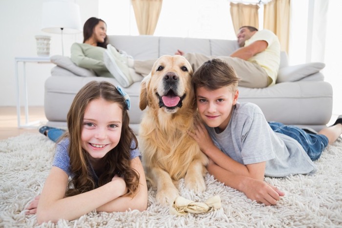 家族と犬