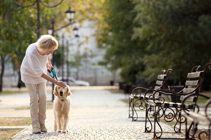 ベンチのある公園を散歩する女性と犬