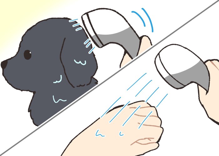 手の甲でお湯の温度を確認してから、頭部から後方に向けて順に濡らす