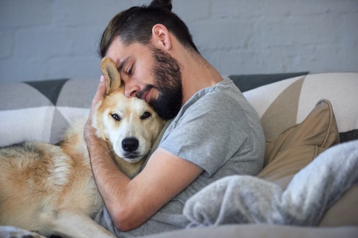 ソファーで男性に抱きしめられる犬