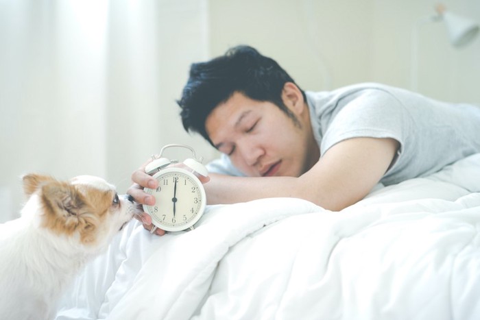 起こそうとする犬と眠そうに目覚まし時計を持つ男性