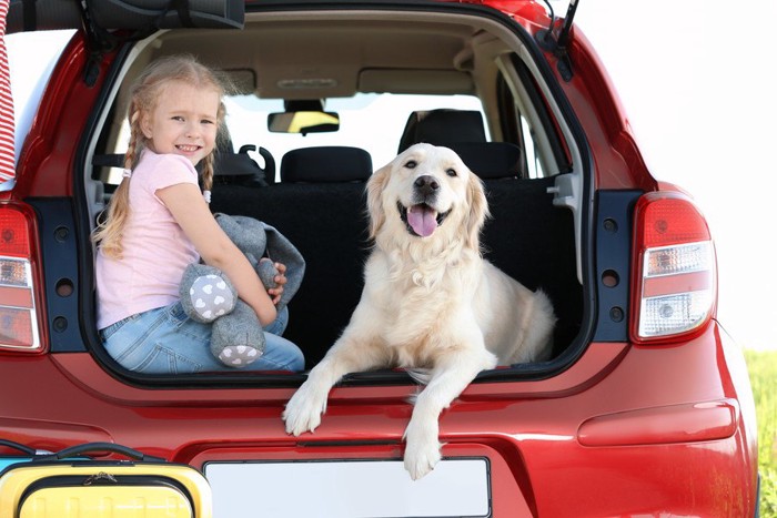 車のトランクに座る女の子と犬