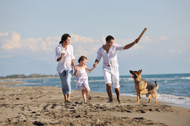 海辺に家族と犬