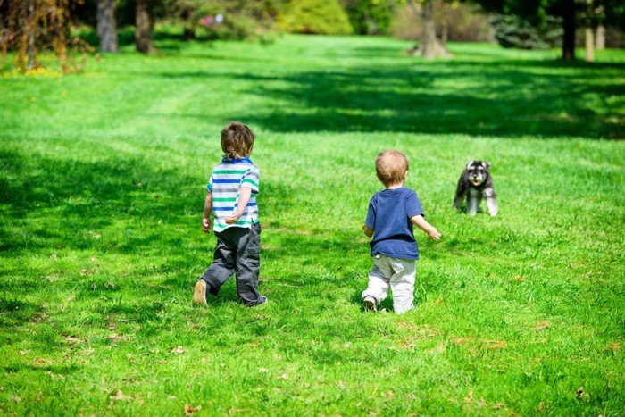 公園で犬に近づく子供たち