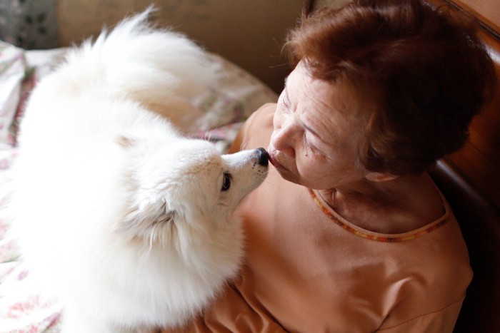 犬と対話する高齢女性