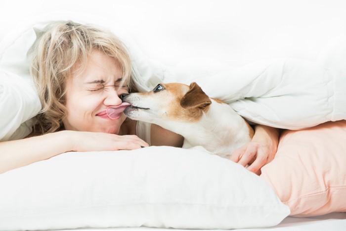 ベッドで女性の顔を舐める犬