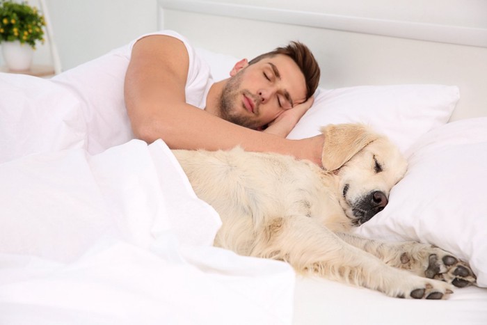 ベッドで寝る男性と犬