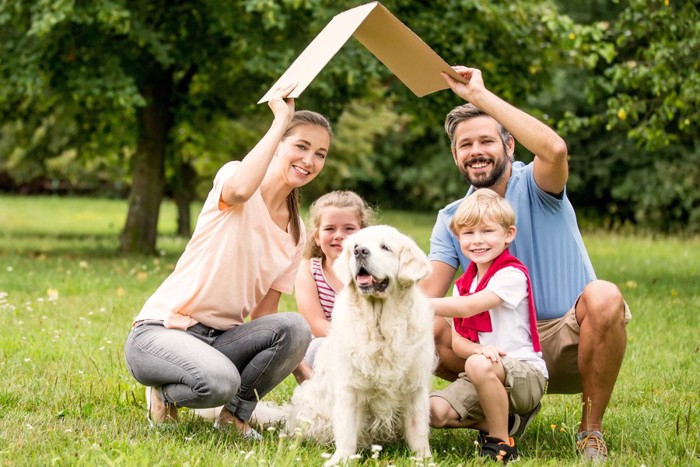 芝生にいる家族と犬