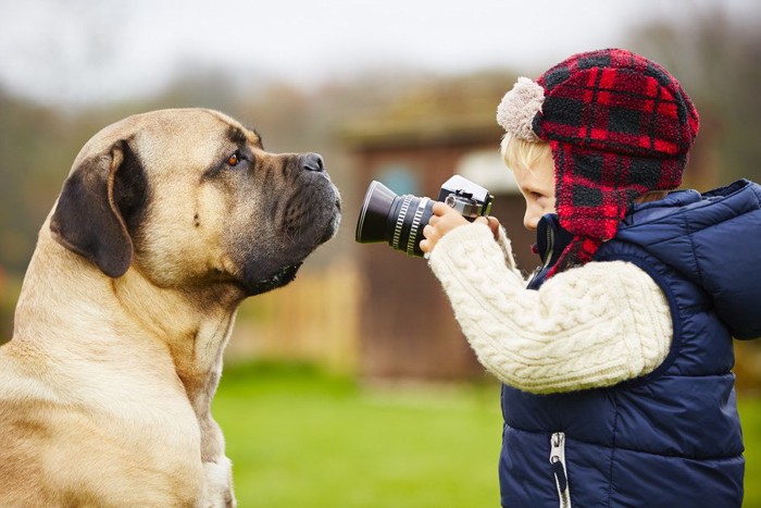 犬の写真を撮る男の子