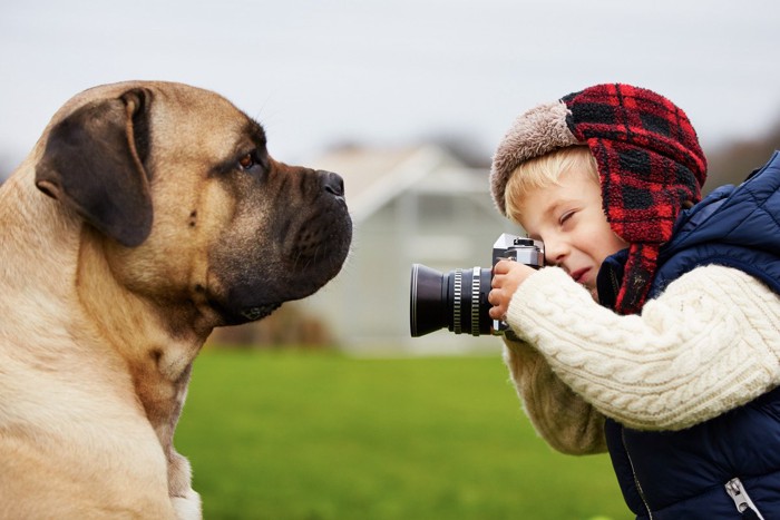 少年にカメラで撮影されてむっとする犬
