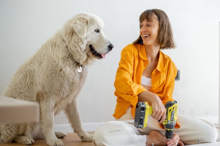 DIY女性と犬