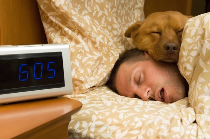 男性の顔の上で寝る茶色い犬