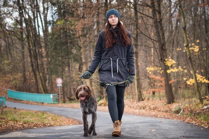リードを短く持って犬の散歩をする女性