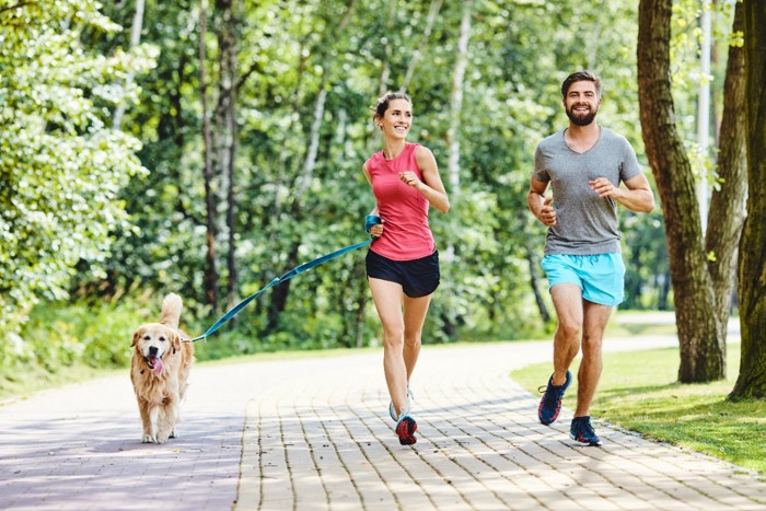 ジョギングする犬とカップル