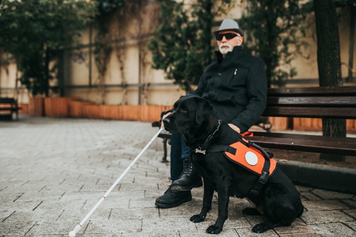 黒い盲導犬と男性