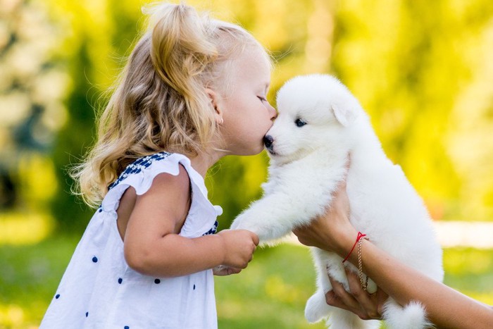 白い子犬にキスする少女