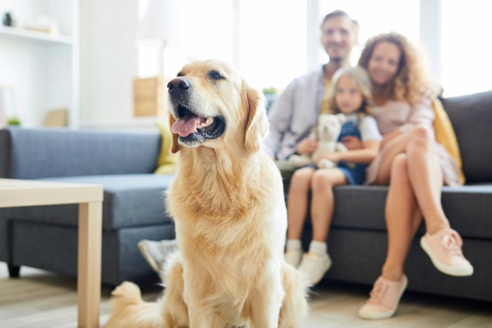 ソファーに座る家族と嬉しそうな犬