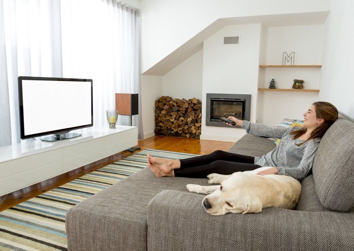 テレビを見る女性と犬