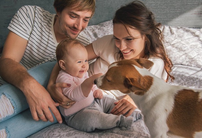 犬と赤ちゃんと両親