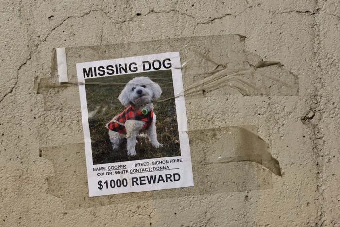 迷い犬のポスター