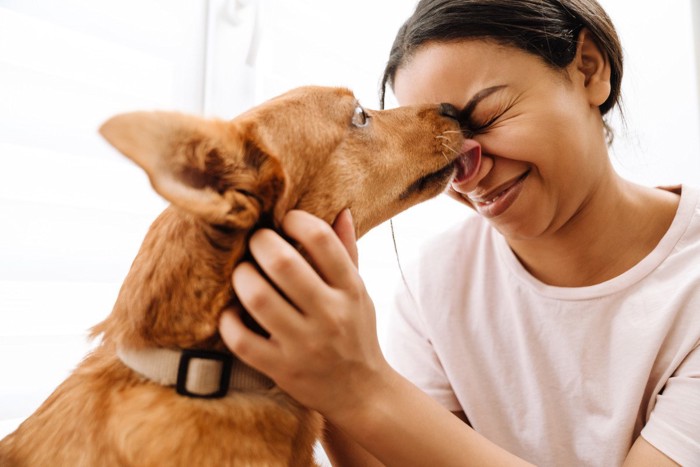 女性の鼻を舐める茶色い犬