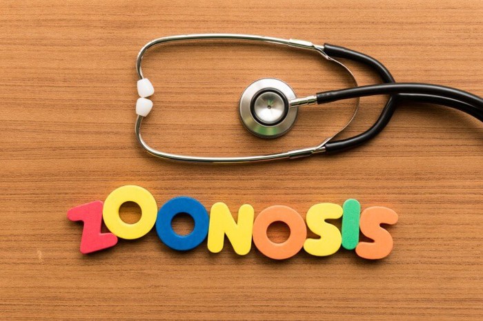聴診器とzoonosisの文字列