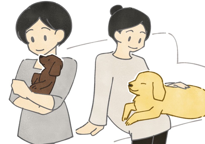 犬が喜ぶスキンシップ③：抱っこ