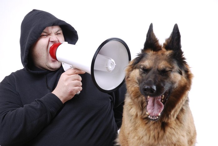 拡声器を持つ男性と大型犬
