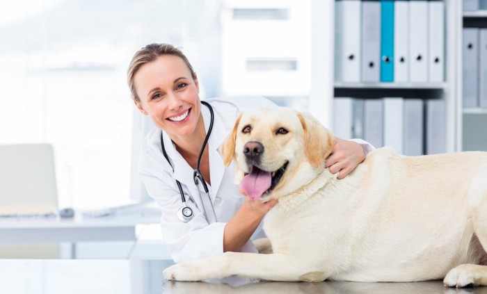 女性の獣医さんと犬