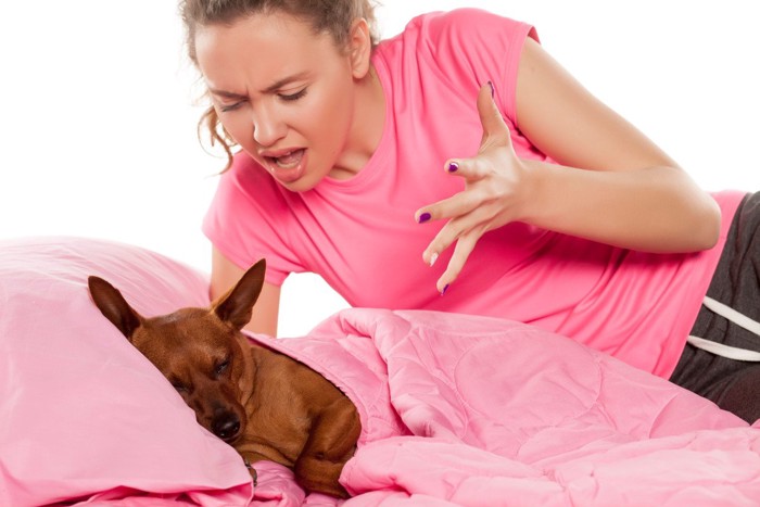 ベッドを犬に占領されて怒る女性