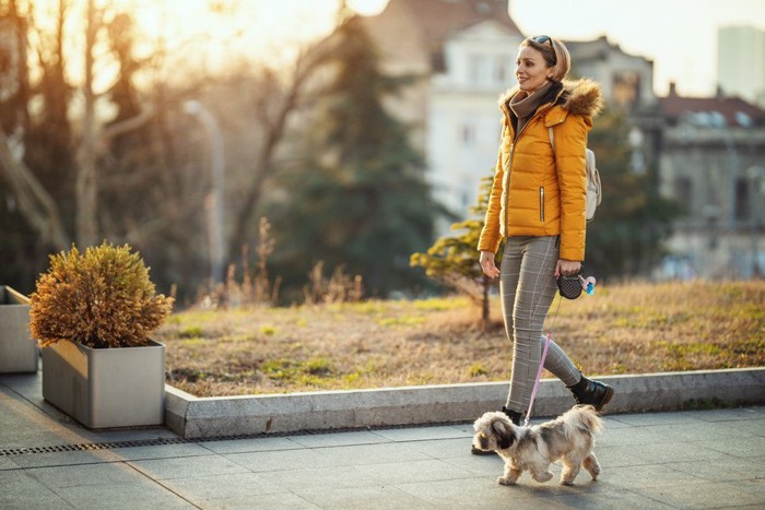 黄色い上着の女性と散歩する犬