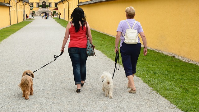 散歩をする2人の女性