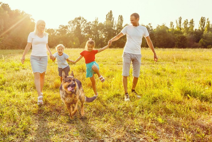 犬と散歩する家族