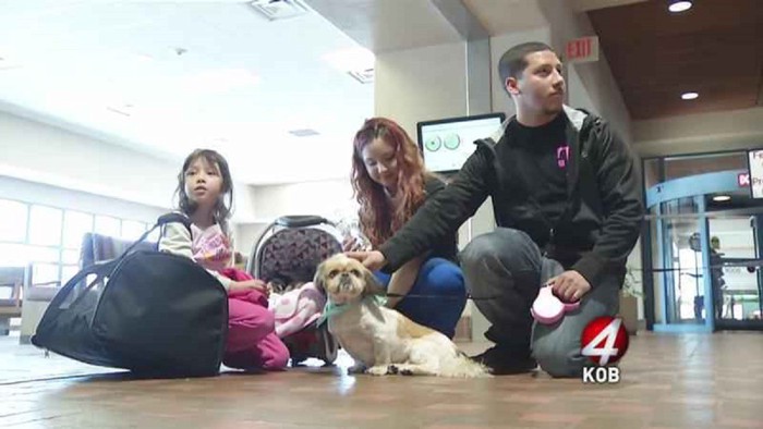 空港にいる犬と家族