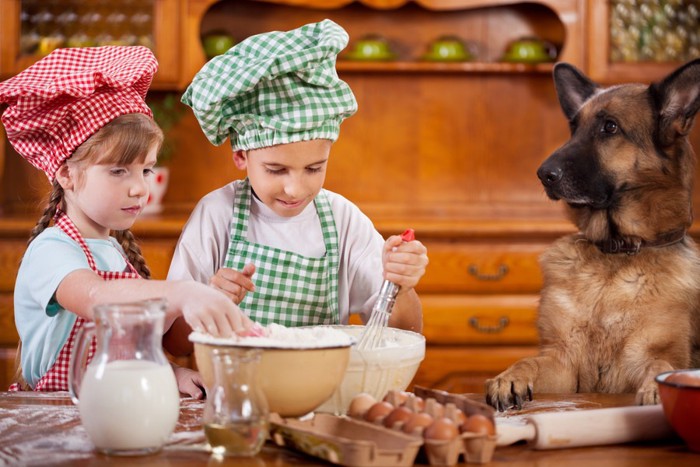 料理をする2人の子供と犬