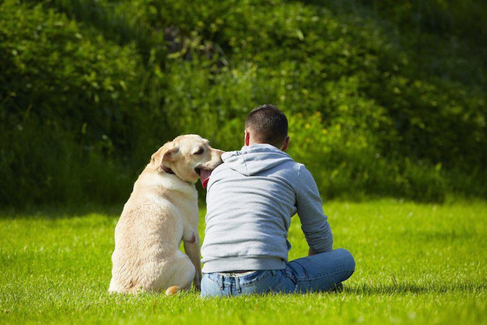 芝生の上で寄り添う犬と男性