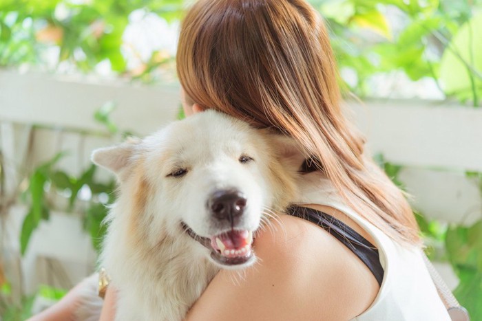 長毛の白い犬を抱きしめる女性