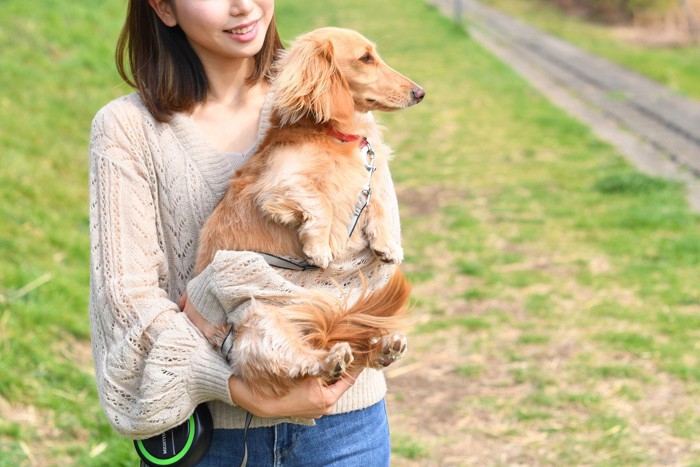 犬を抱っこする女性