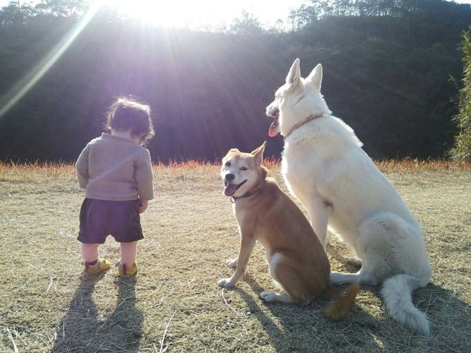 子供と犬2匹