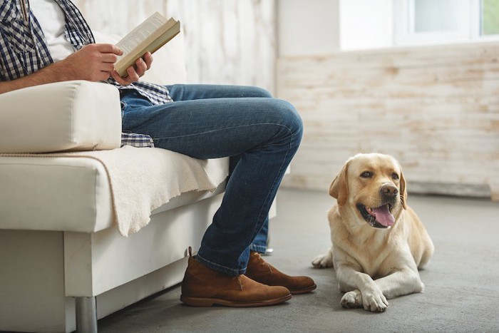 本を読む飼い主の足元に座る犬