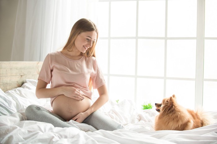 妊娠している女性と犬